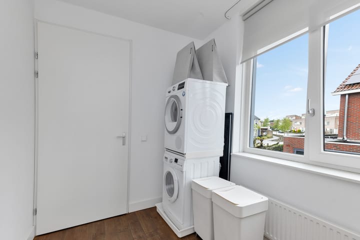 Foto 38 van Buizerd 106