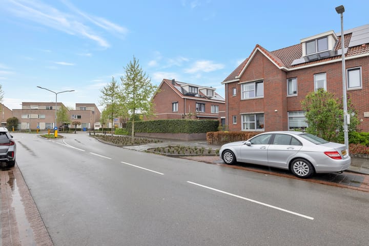 Foto 46 van Buizerd 106