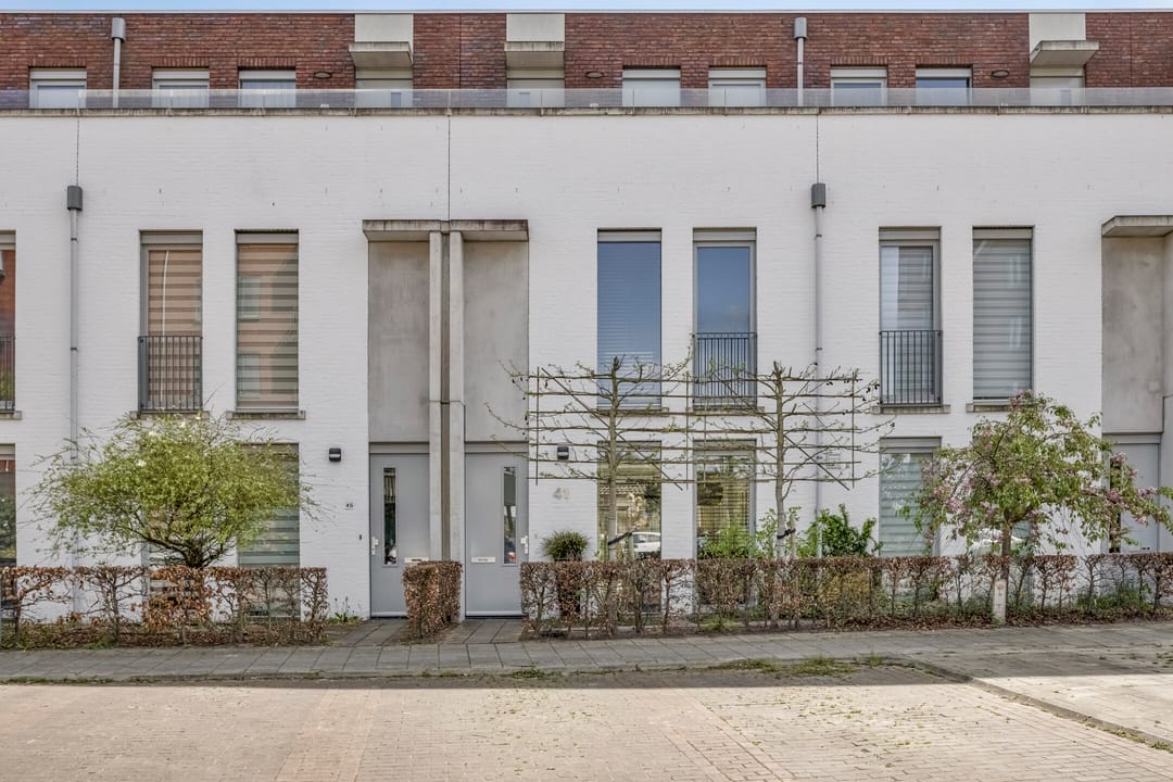 Foto 1 van Eekhoorn 41