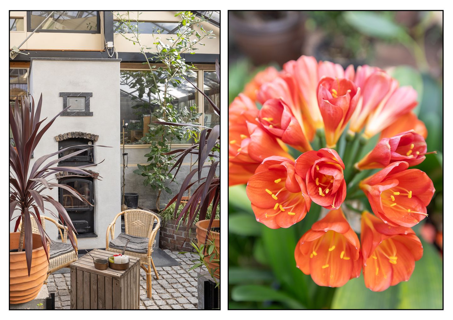 Foto 14 van Ceintuurbaan 58-A