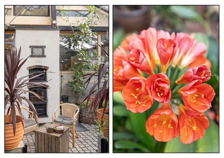 Foto 14 van Ceintuurbaan 58-A