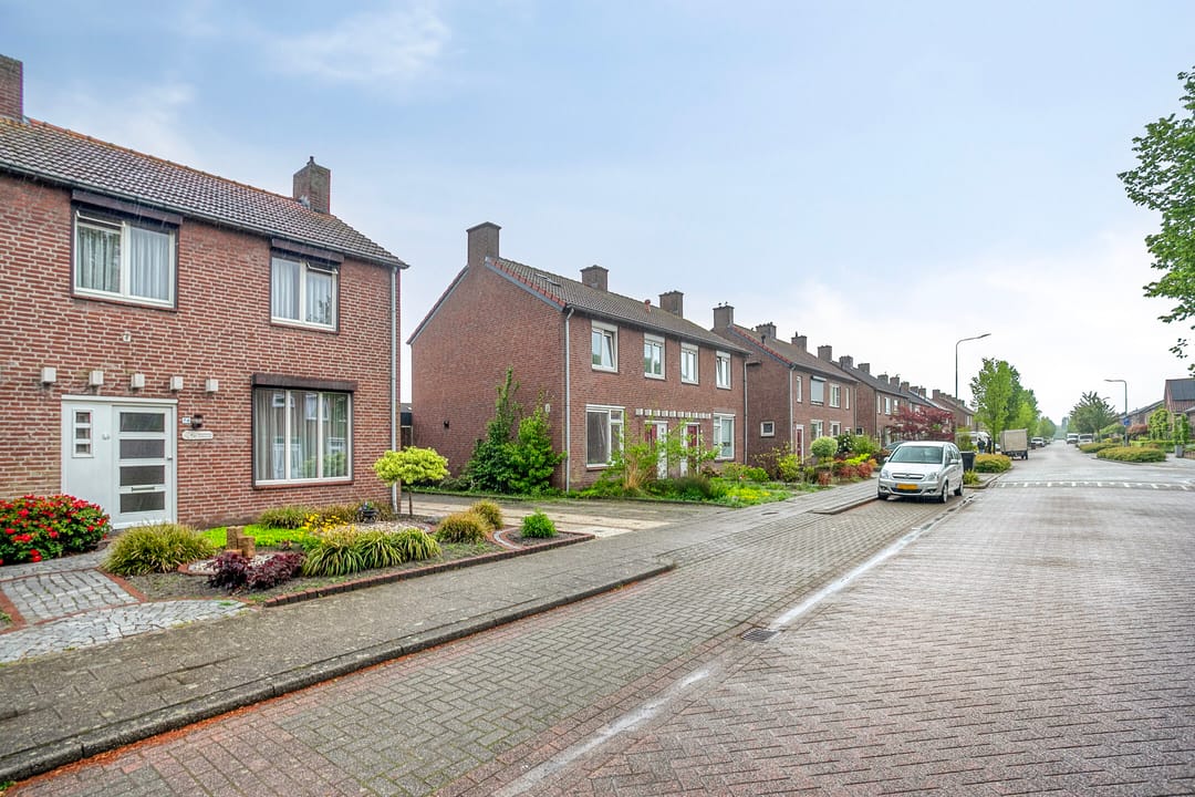 Photo 7 of Dorperweiden 74