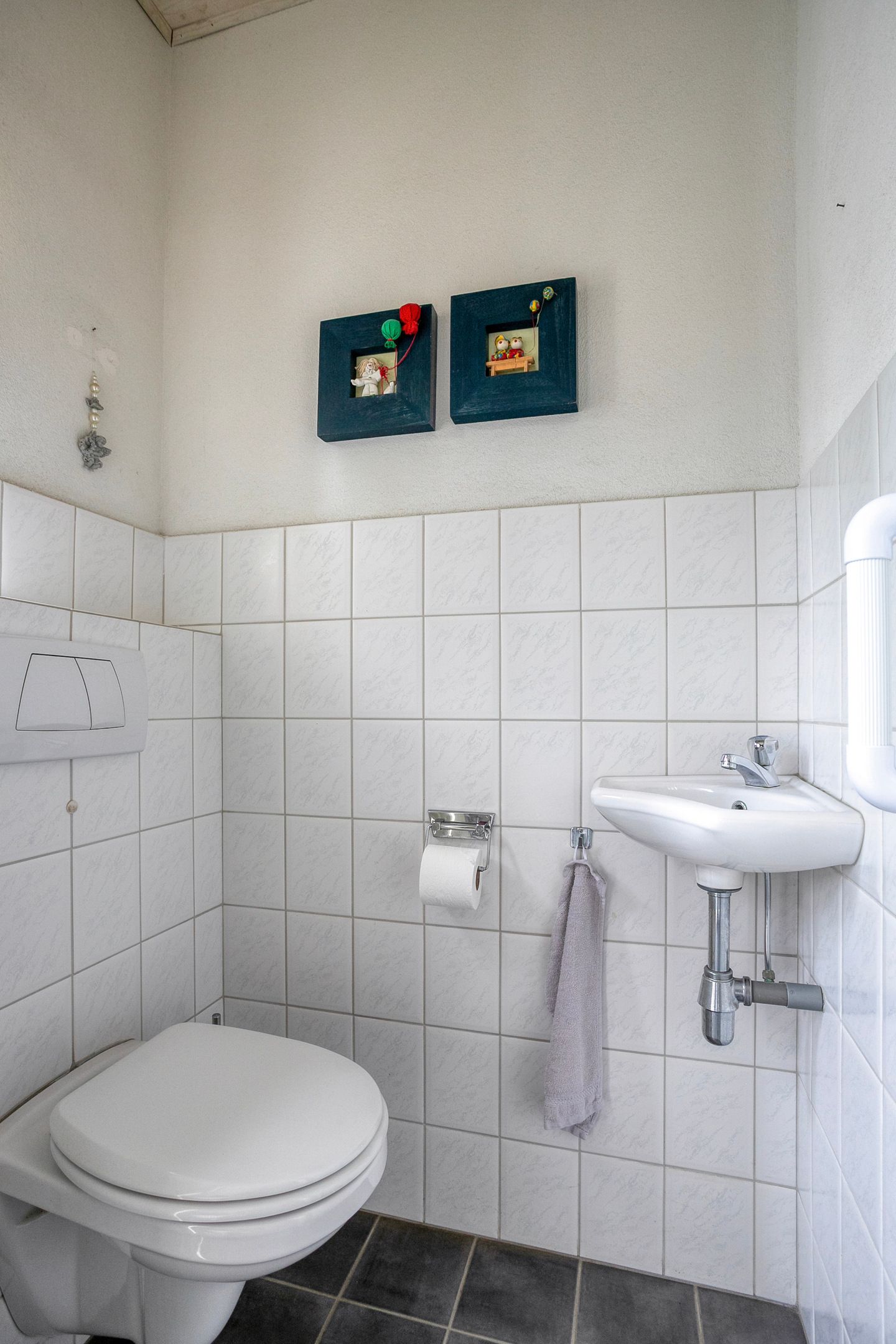 Photo 9 of Dorperweiden 74