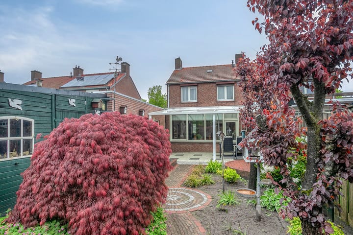 Foto 36 van Dorperweiden 74