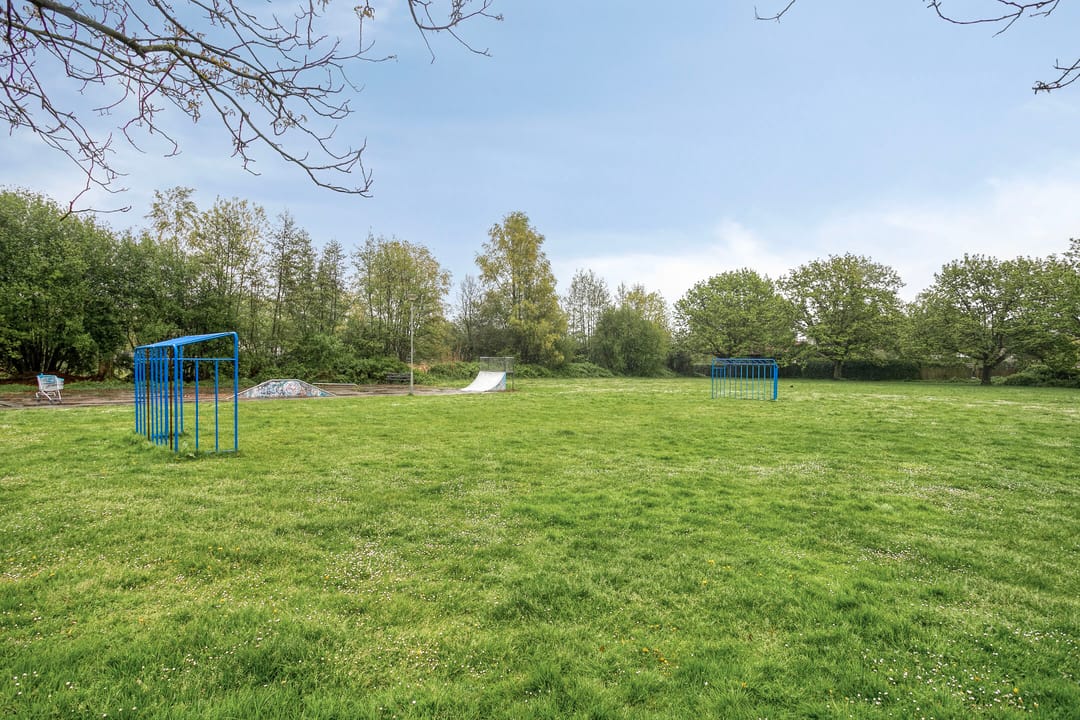 Photo 41 of Dorperweiden 74