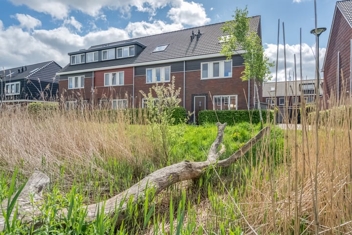 Foto 1 van Honderdspint 9