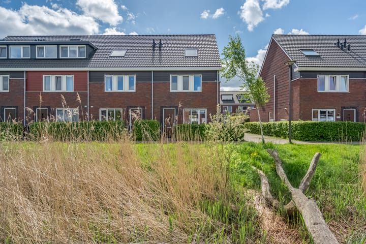 Foto 7 van Honderdspint 9