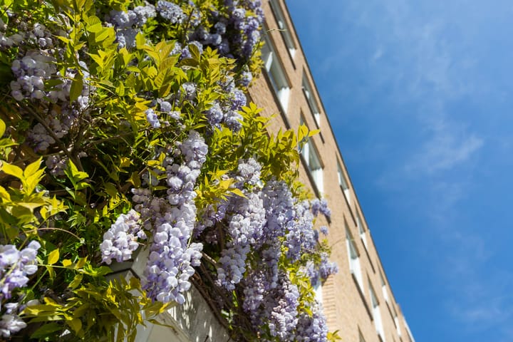 Foto 44 van Soetendaalsestraat 39