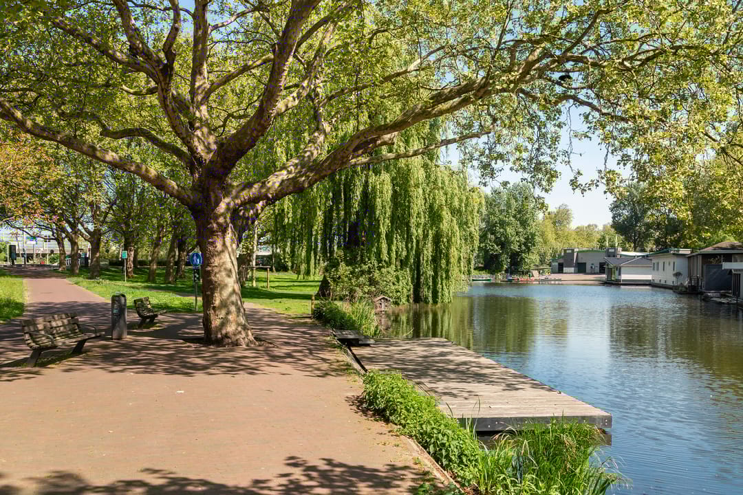 Foto 46 van Soetendaalsestraat 39