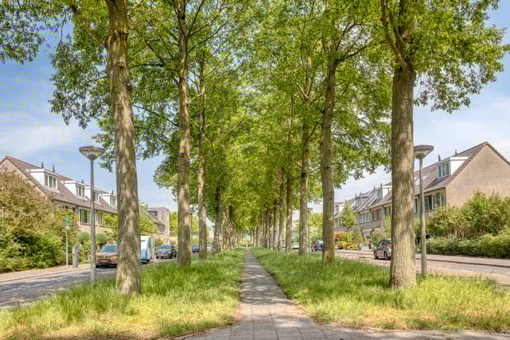 Foto 26 van Boschplaat 62