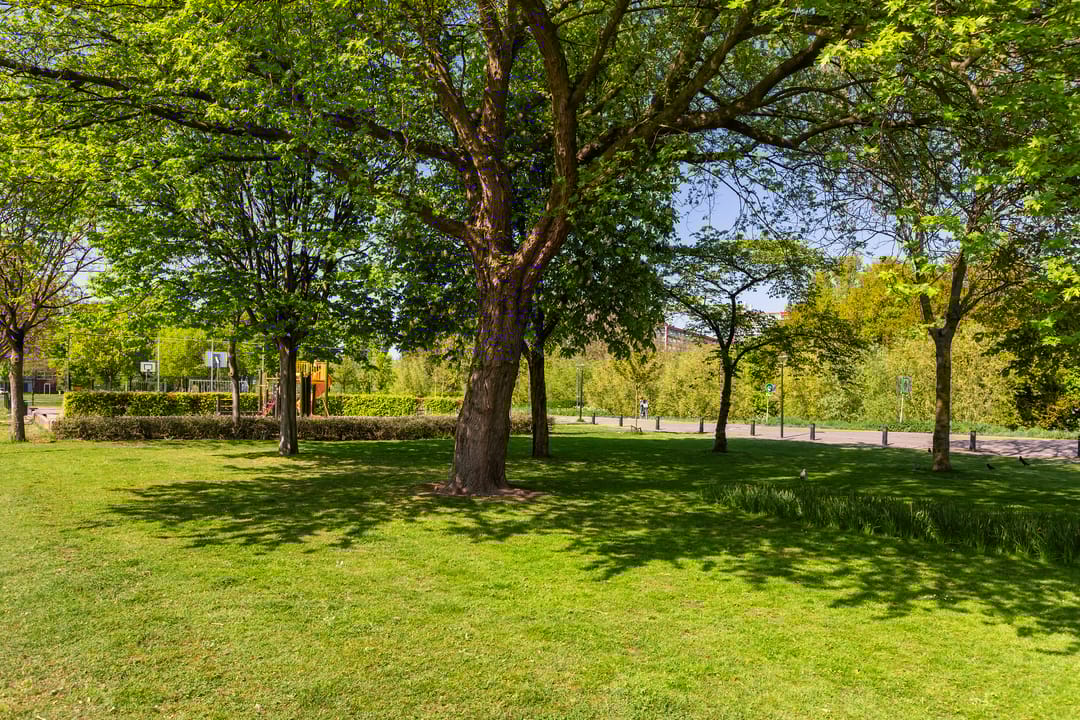 Foto 41 van Peter van Anrooylaan 10