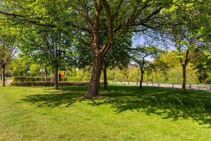 Foto 41 van Peter van Anrooylaan 10