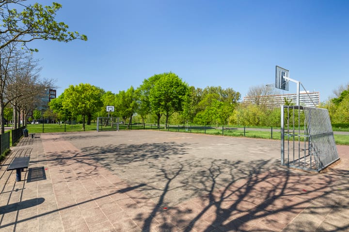 Foto 42 van Peter van Anrooylaan 10