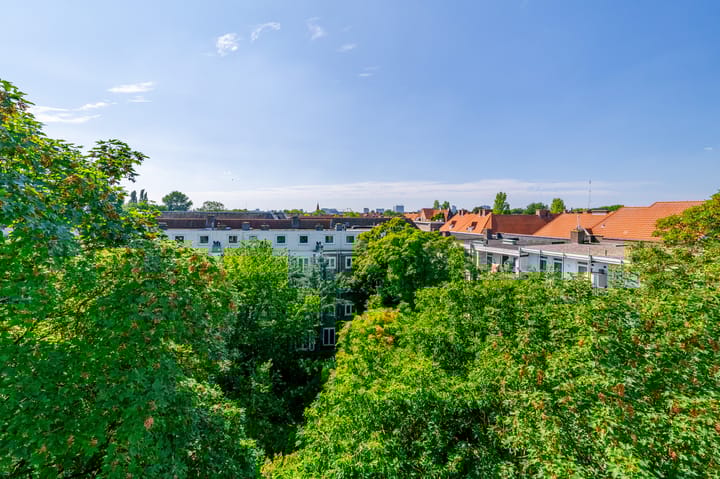 Foto 18 van Spaarndammerdijk 7-X