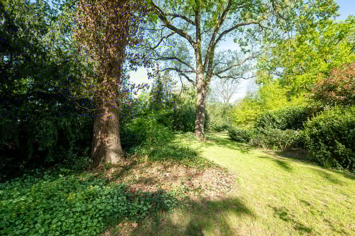 Photo 31 of Oude Meerdijk 6