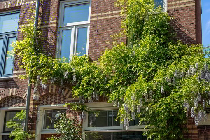 Foto 36 van Valkstraat 24