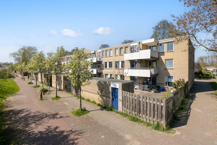 Foto 6 van Sterappelgaard 206