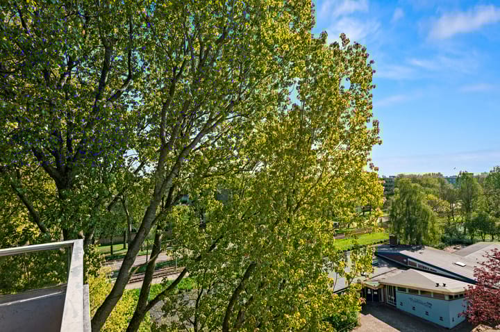 Foto 9 van De Haar 194