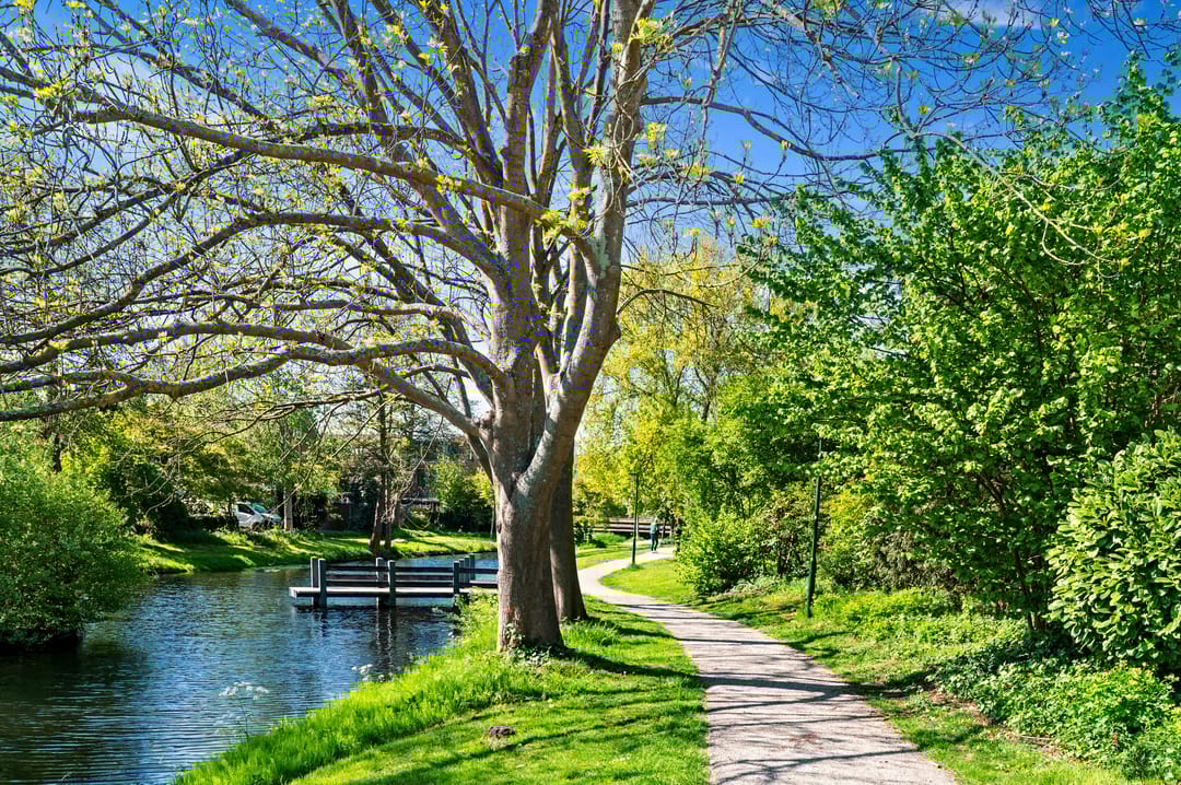 Foto 26 van De Haar 194