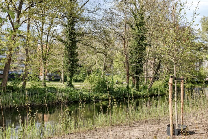 Photo 35 of Frans Halslaan 243