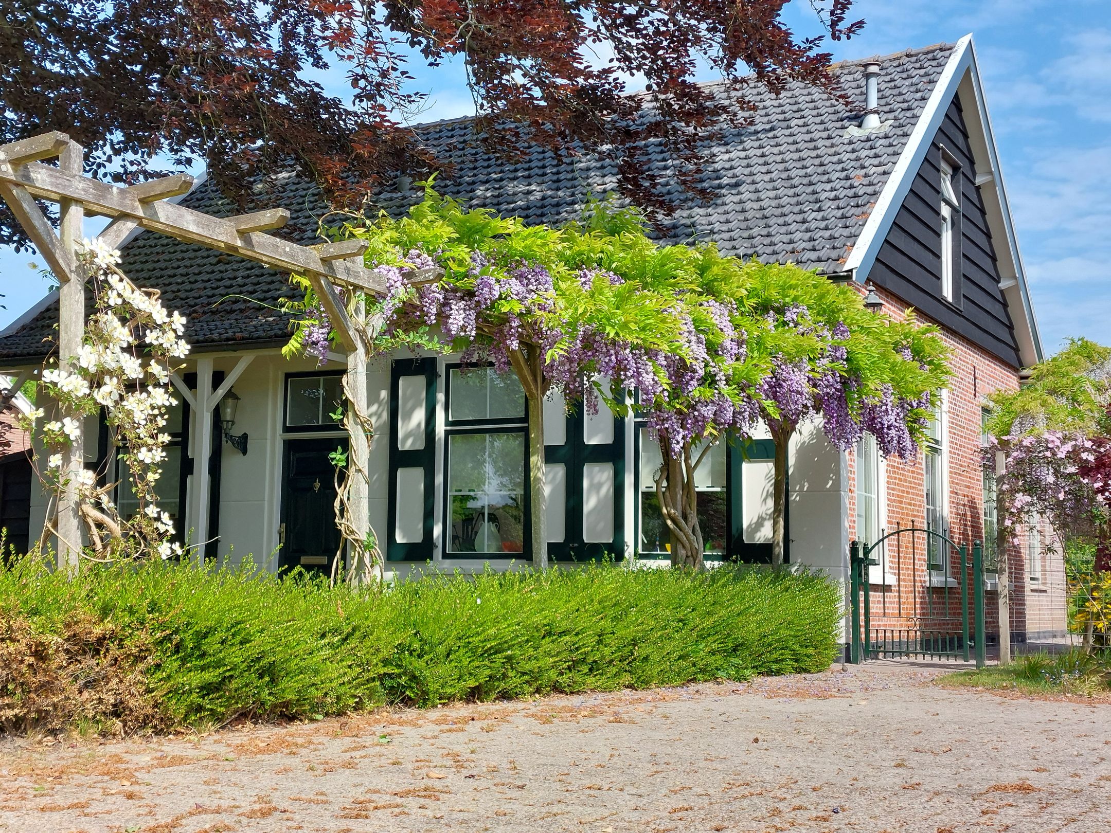 Photo 3 of Hogezoom 6