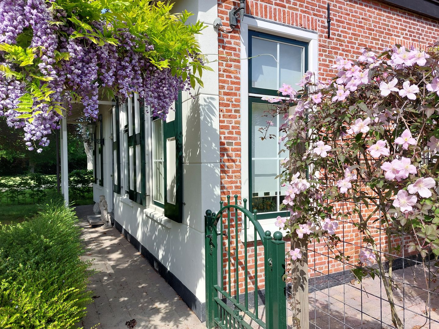 Photo 5 of Hogezoom 6