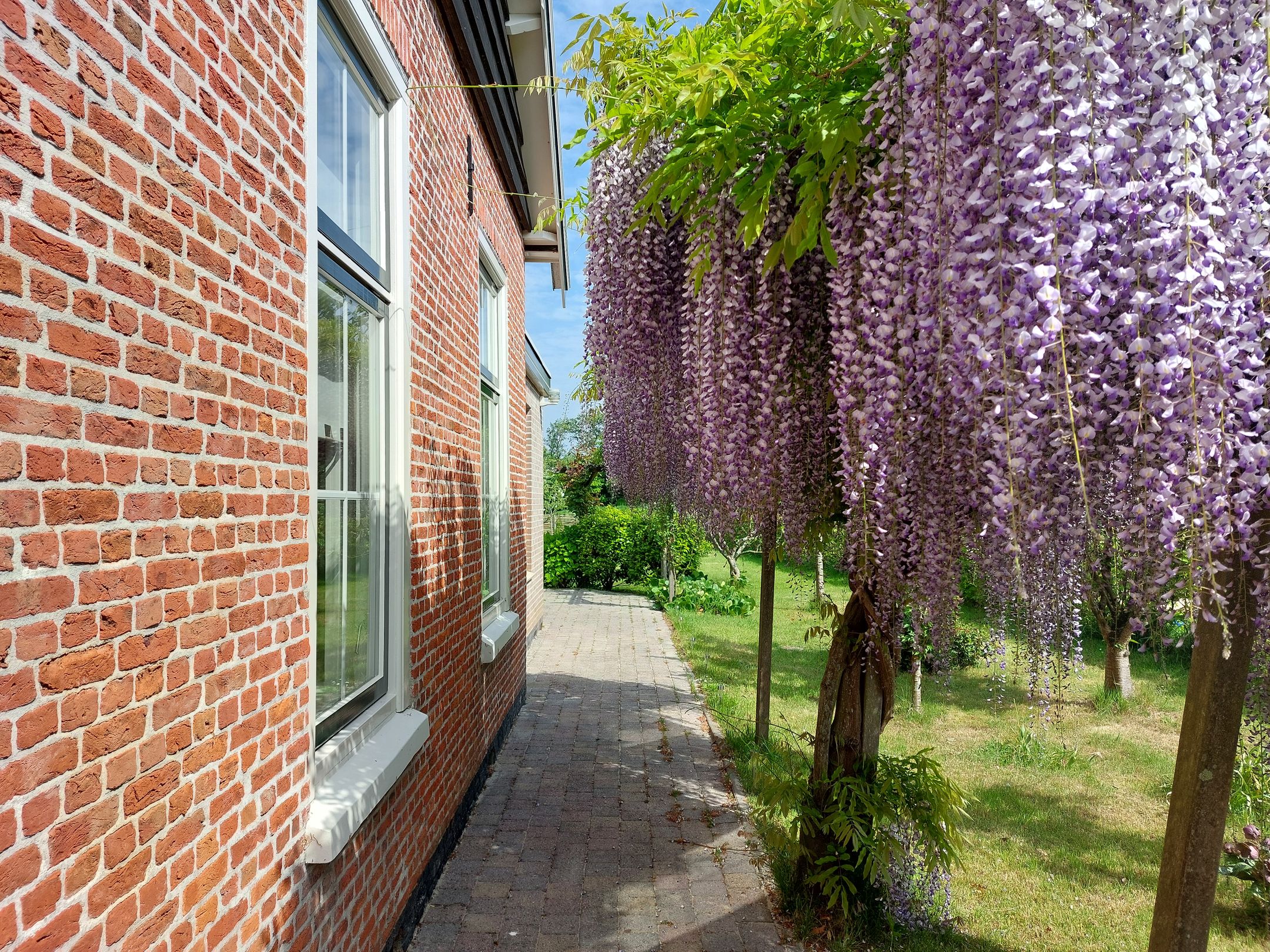 Photo 6 of Hogezoom 6