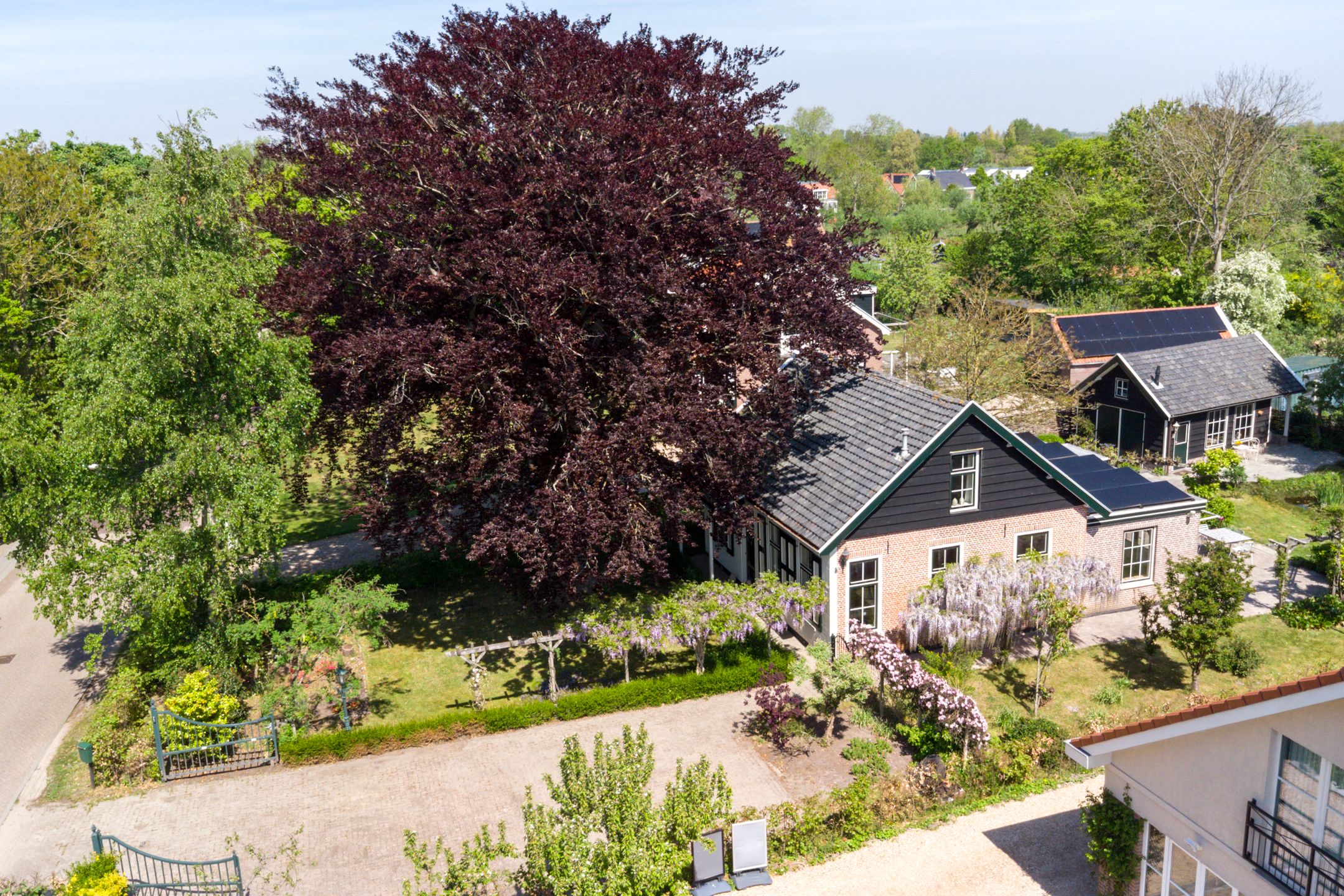 Photo 9 of Hogezoom 6