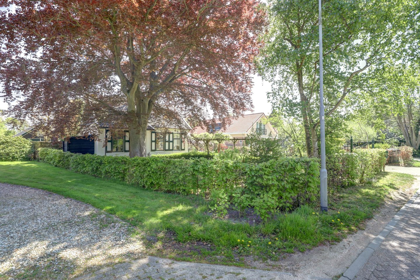 Photo 10 of Hogezoom 6