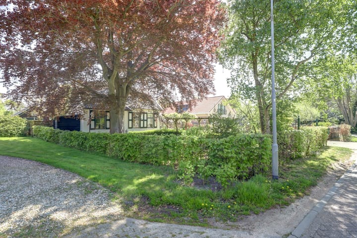 Photo 10 of Hogezoom 6