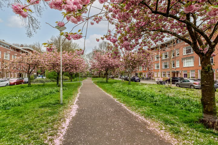 Foto 19 van De Savornin Lohmanlaan 70-B01