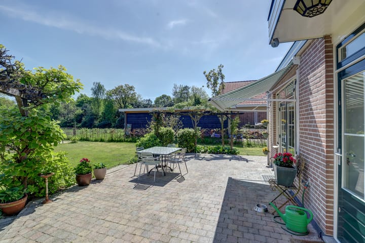 Photo 35 of Hogezoom 6