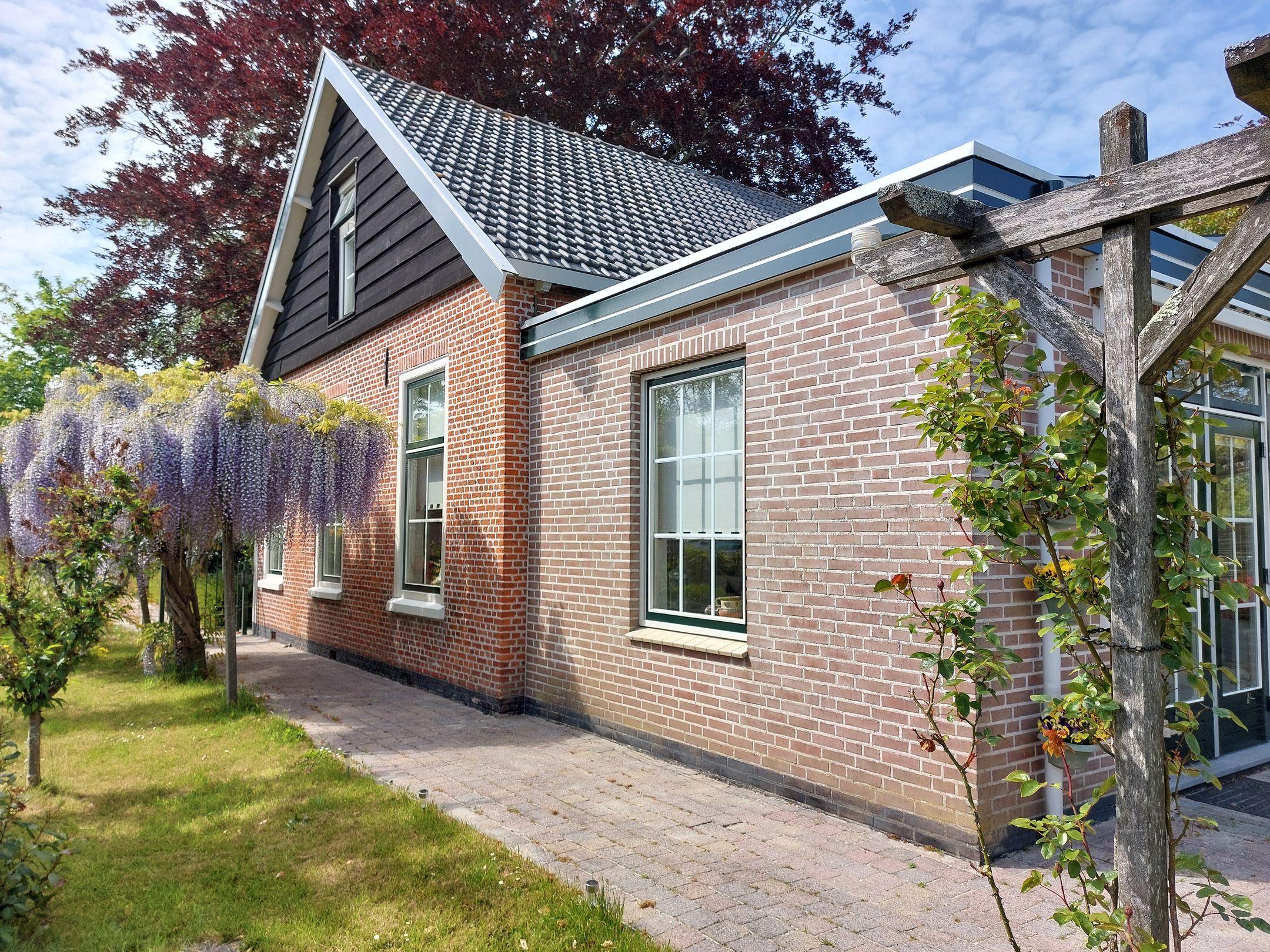 Photo 36 of Hogezoom 6