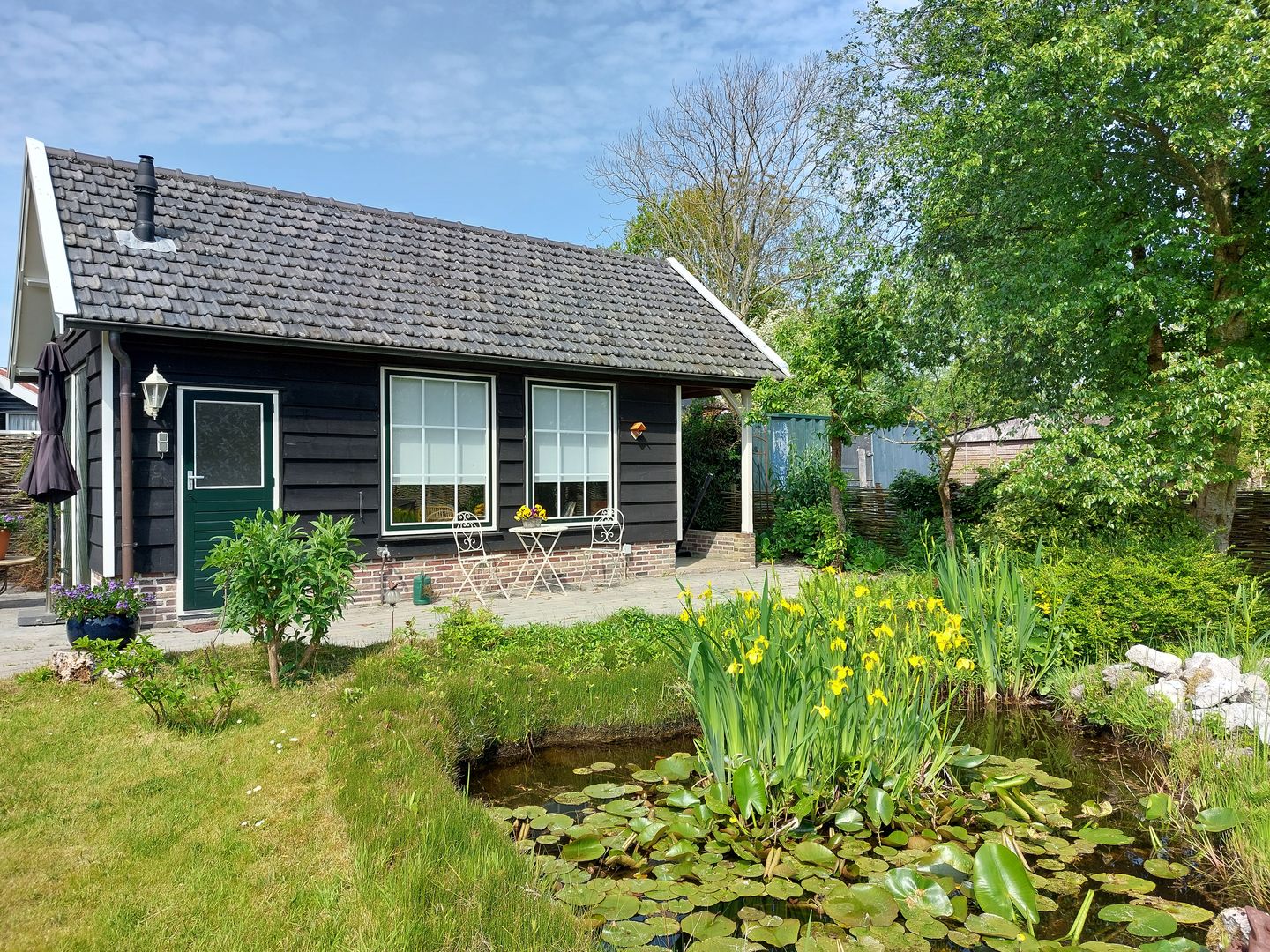 Photo 40 of Hogezoom 6