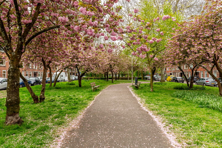 Foto 36 van De Savornin Lohmanlaan 70-B01