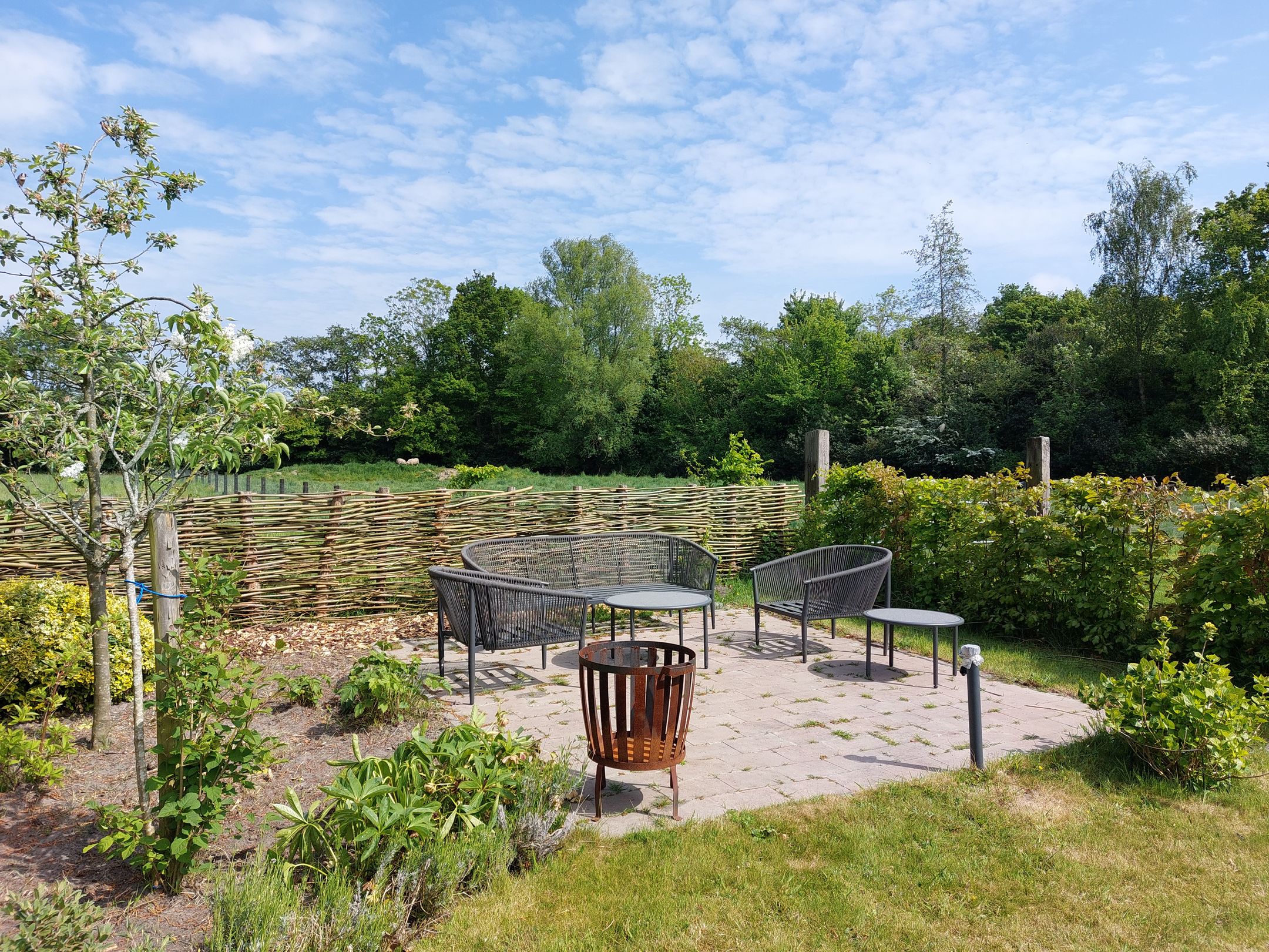 Photo 42 of Hogezoom 6