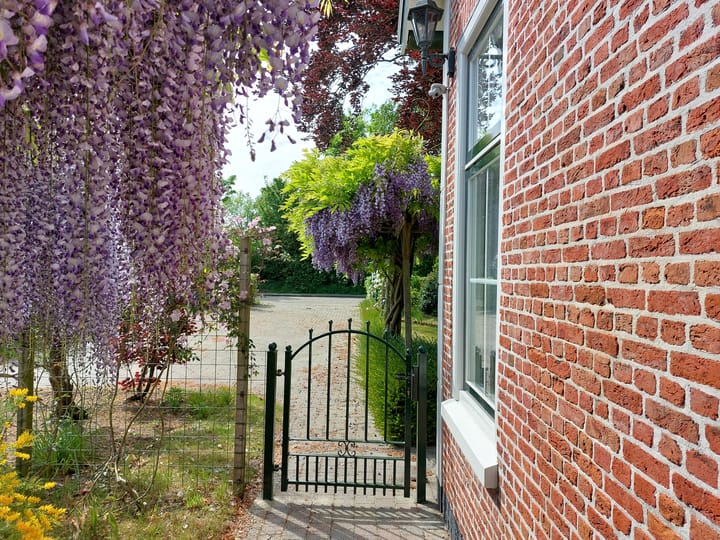 Photo 43 of Hogezoom 6