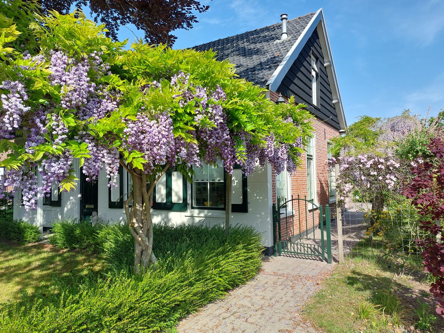 Photo 44 of Hogezoom 6