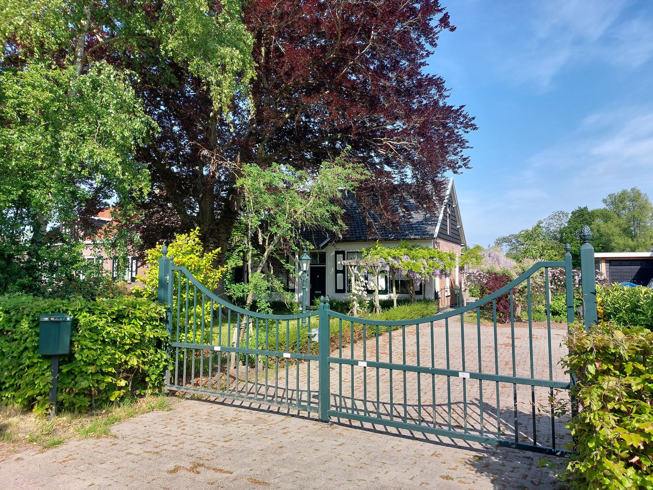 Photo 45 of Hogezoom 6