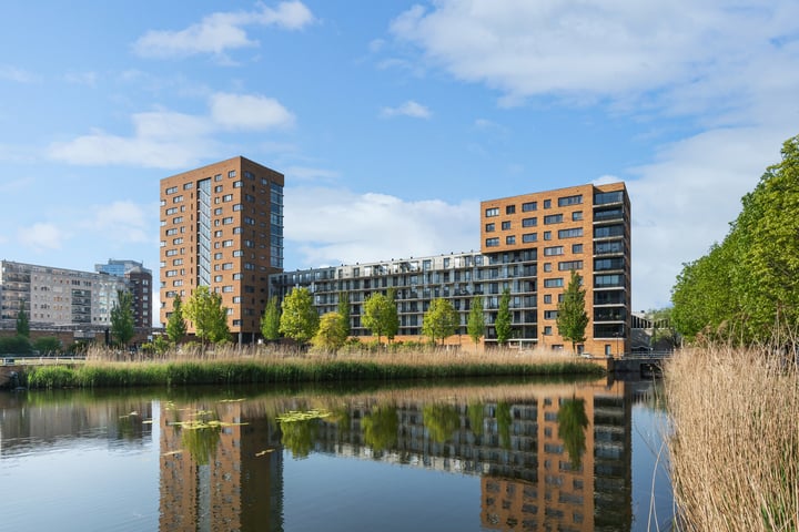 Buizerdhof 387