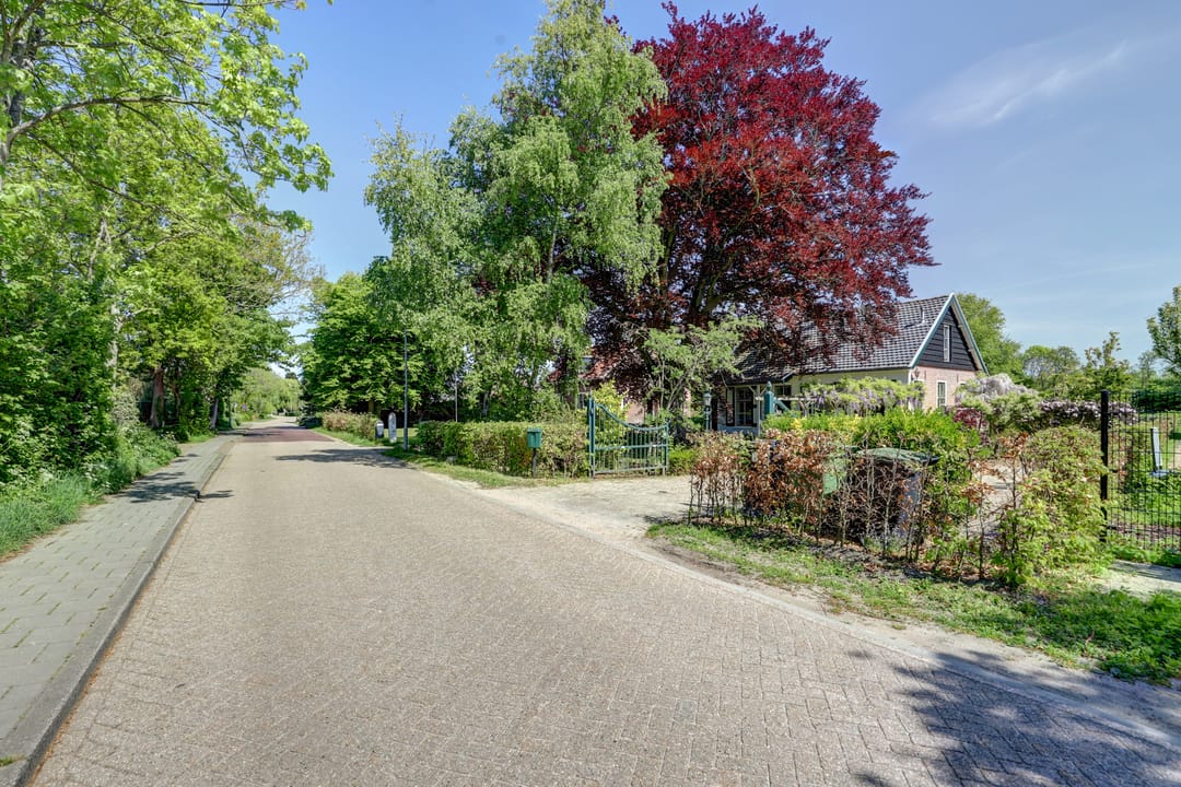 Photo 47 of Hogezoom 6