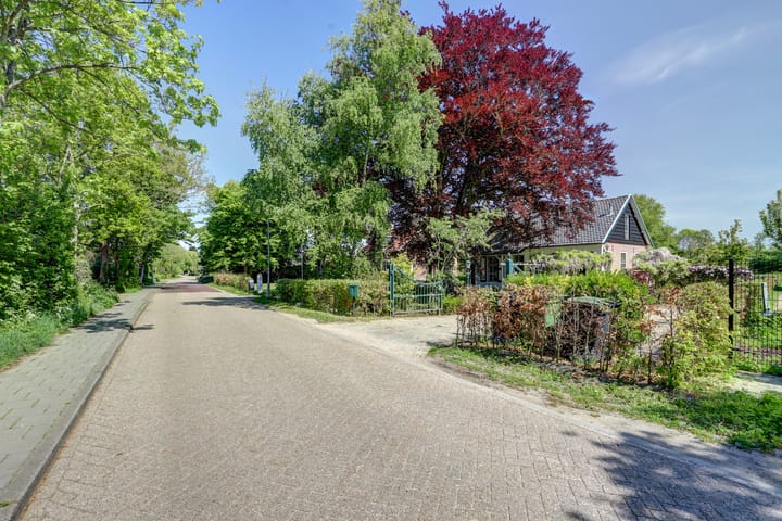 Photo 47 of Hogezoom 6