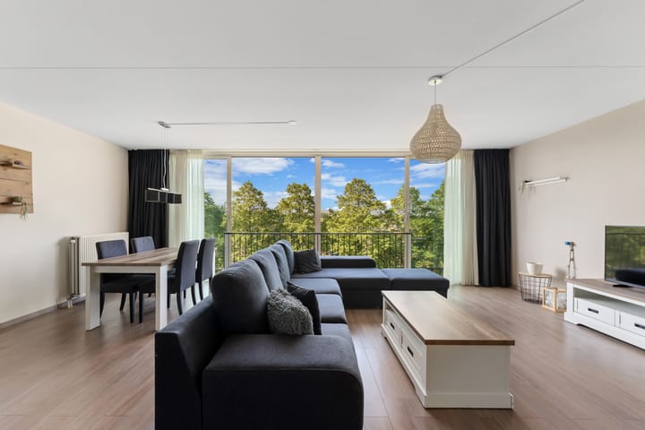 Photo 5 of Buizerdhof 387