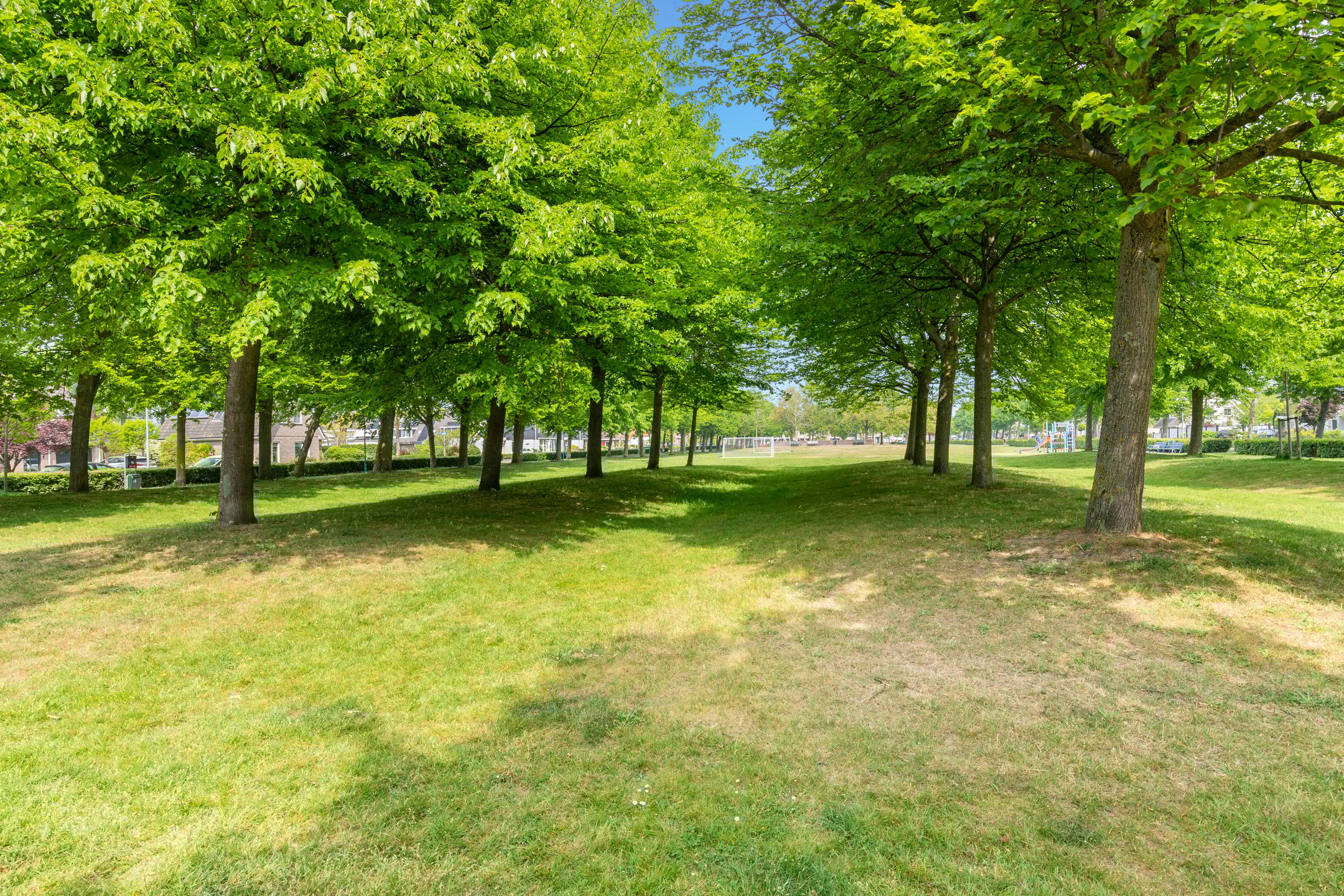 Photo 39 of Enterij 12