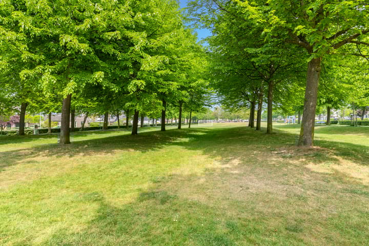 Foto 39 van Enterij 12