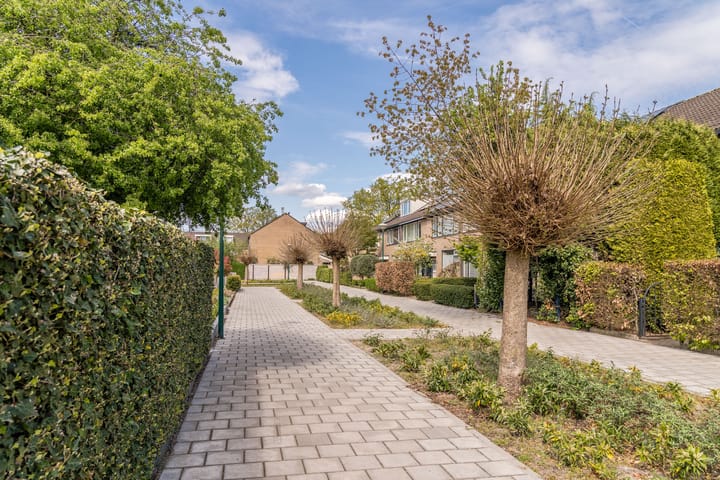 Foto 45 van Walraven van Hallhof 22