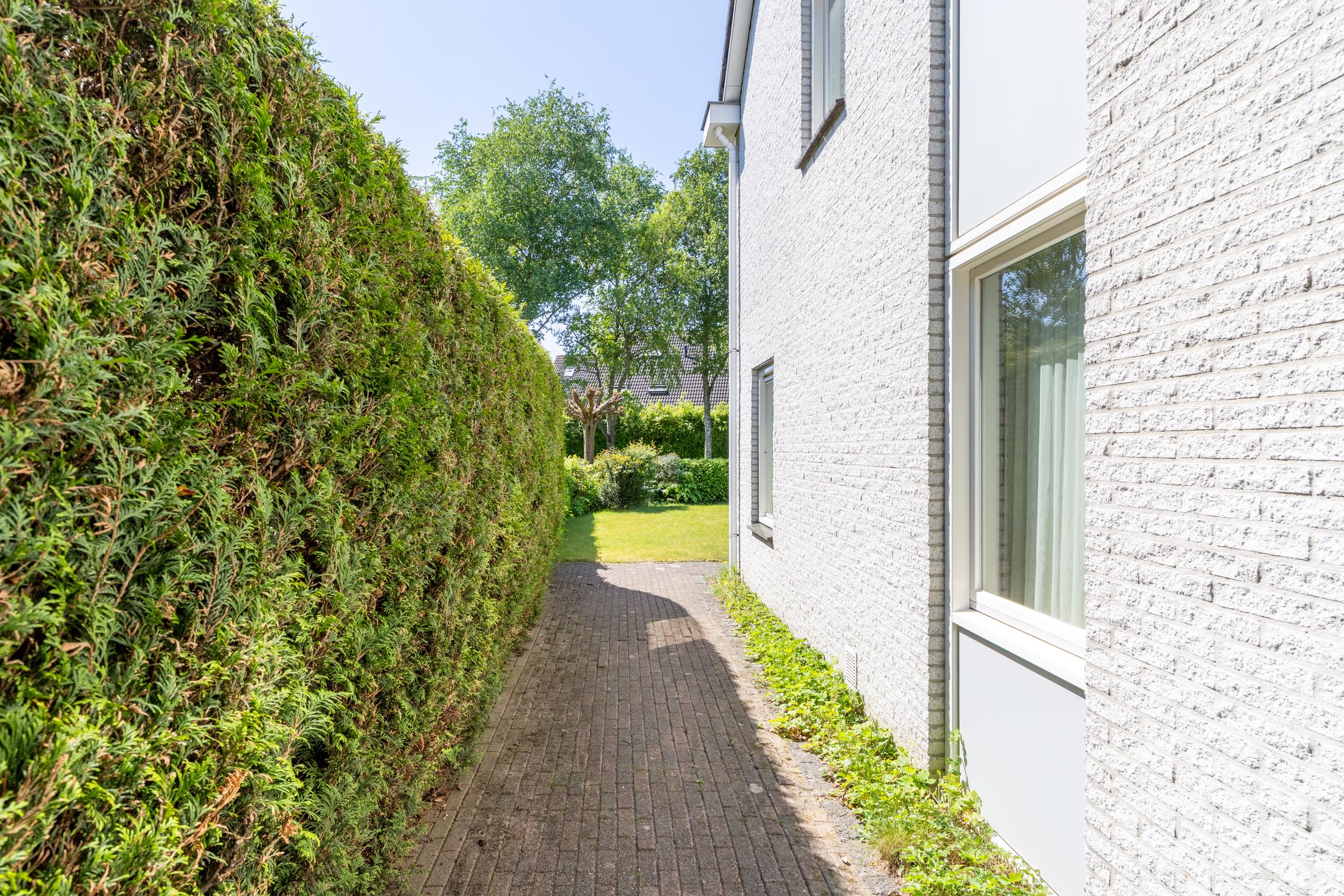 Foto 36 van Munsel 197