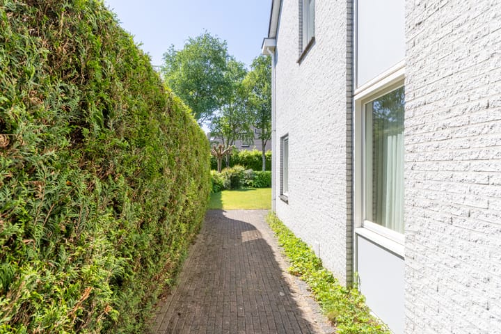 Foto 36 van Munsel 197