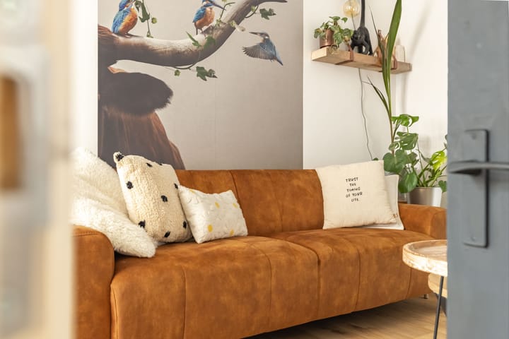 Foto 7 van Oost Vaardeke 2