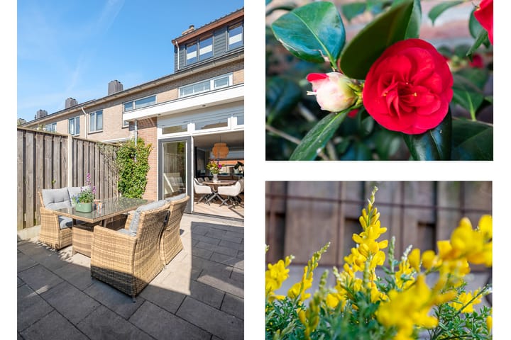 Photo 24 of Surinamestraat 24